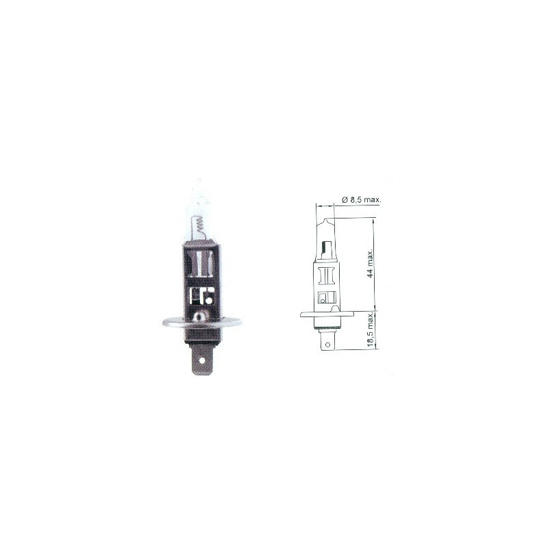 H1 24V H1 24V